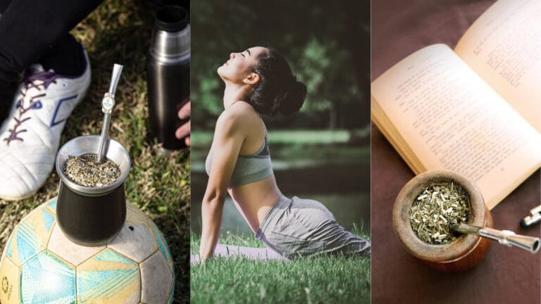 yerba mate focus Yerba Mate: Energy, Focus, and Performance