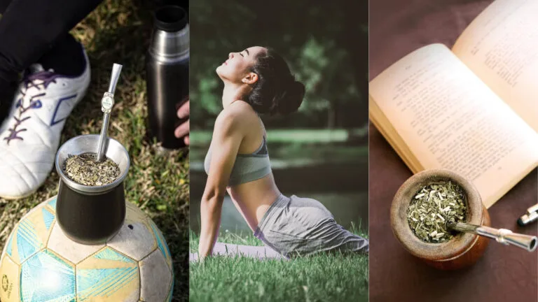 Yerba Mate Benefits & Side Effects