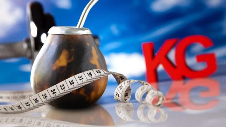 yerba mate weightloss Does Yerba Mate Help with Weight Loss?