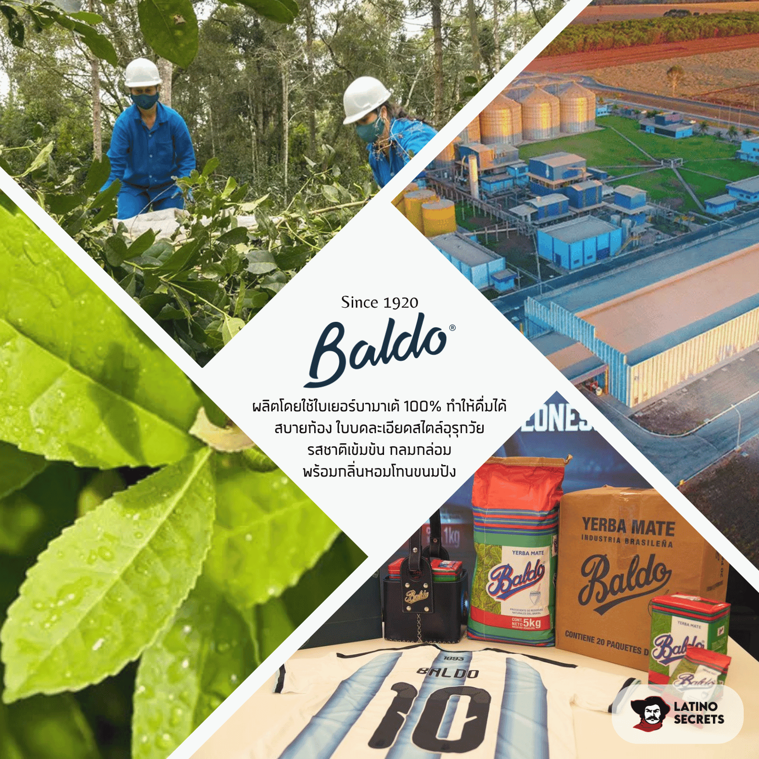 5 Baldo ชาเยอร์บามาเต (Yerba Mate) - 500g - Image 3